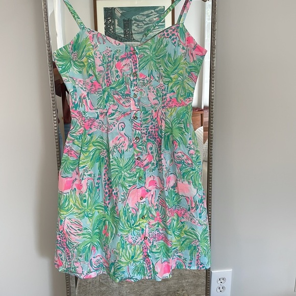 Lilly Pulitzer Pink and Green Easton Dress - Picture 4 of 15